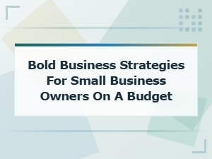 Bold Business Strategies for Small Business Owners on a Budget